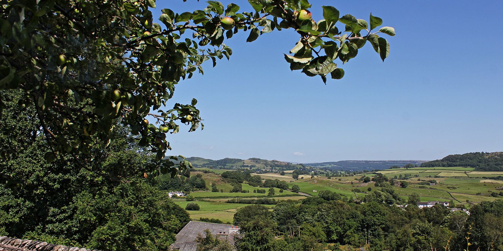 Things to Do at the Masons Arms, Strawberry Bank